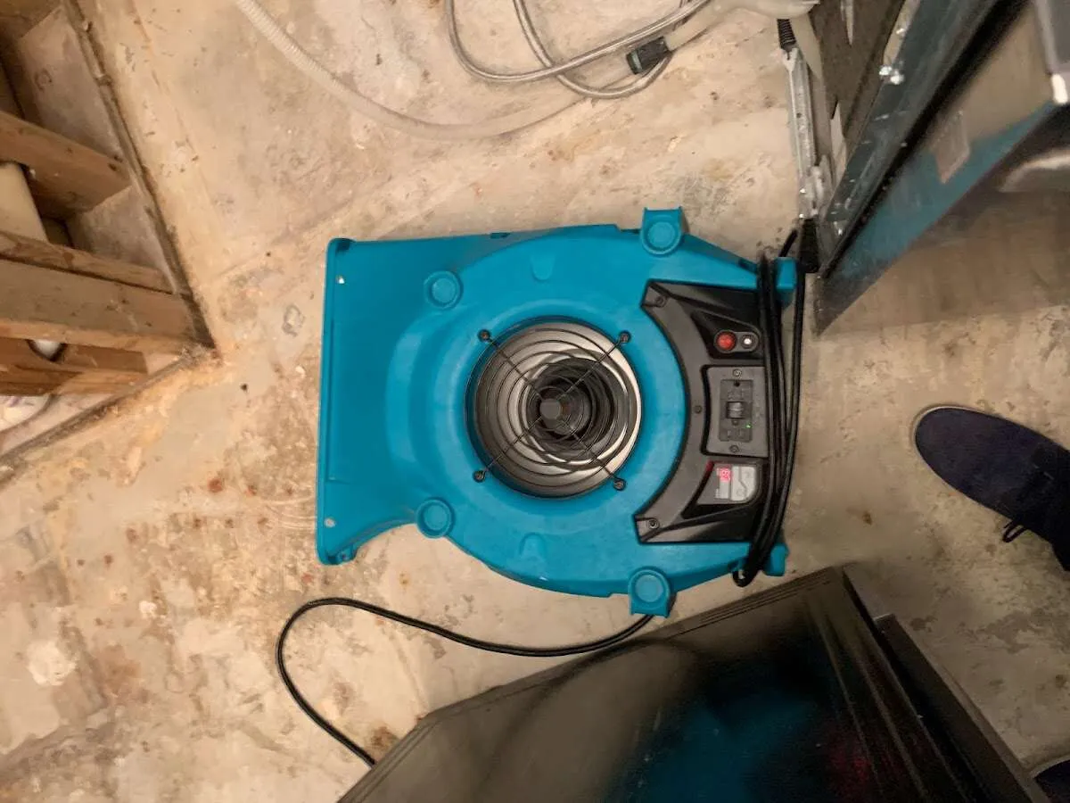 Air mover drying equipment for Mold Remediation & Removal in Schererville